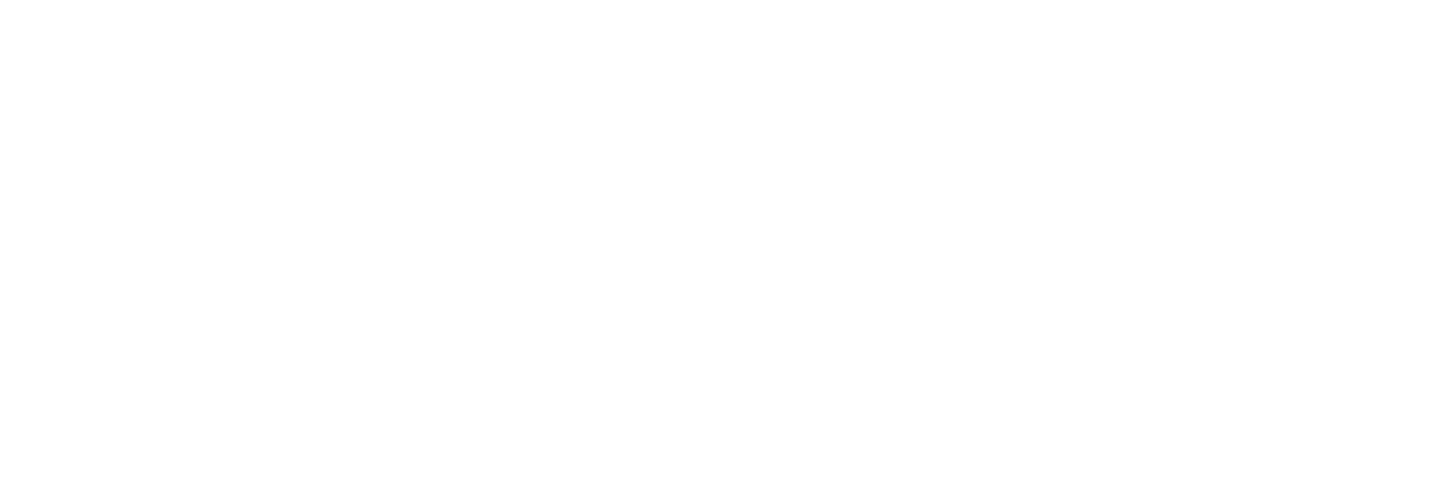 Ric Lee